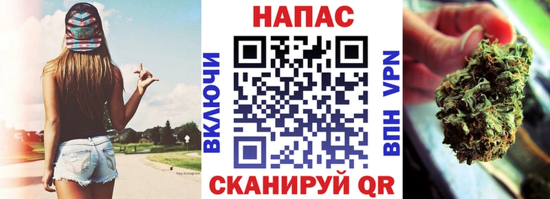 цены Поворино Канабис семена